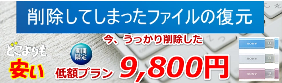 USBメモリーの誤操作によるファイル削除復旧料金9800円